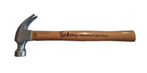 Plaktukas ,,Sėkmę nešantis"